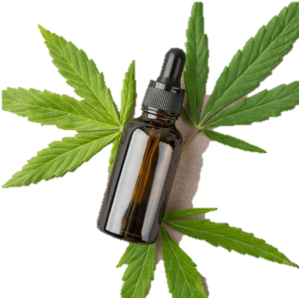 CBD Oil